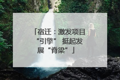 宿迁：激发项目“引擎” 挺起发展“脊梁”