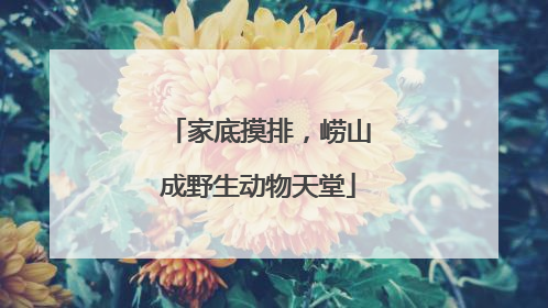 家底摸排，崂山成野生动物天堂