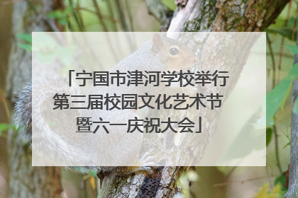 宁国市津河学校举行第三届校园文化艺术节暨六一庆祝大会