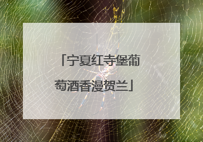 宁夏红寺堡葡萄酒香漫贺兰