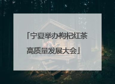 宁夏举办枸杞红茶高质量发展大会