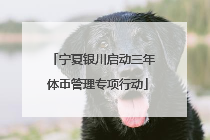 宁夏银川启动三年体重管理专项行动