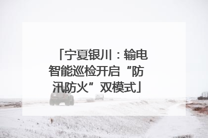 宁夏银川：输电智能巡检开启“防汛防火”双模式