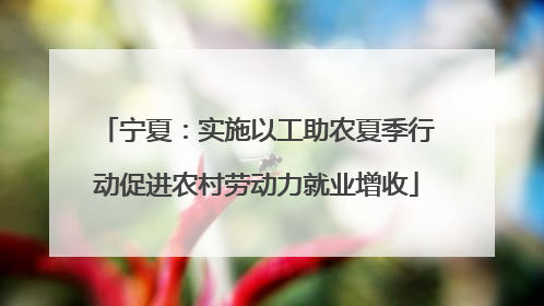 宁夏：实施以工助农夏季行动促进农村劳动力就业增收