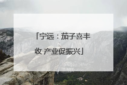 宁远：茄子喜丰收 产业促振兴