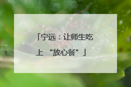 宁远：让师生吃上 “放心餐”