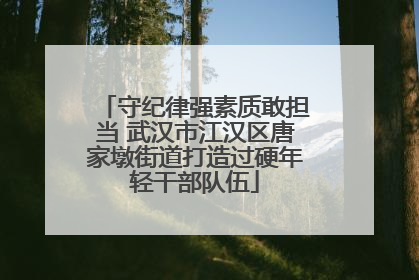 守纪律强素质敢担当 武汉市江汉区唐家墩街道打造过硬年轻干部队伍