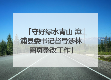 守好绿水青山 漳浦县委书记督导涉林图斑整改工作