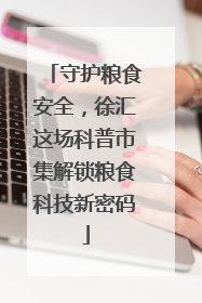 守护粮食安全，徐汇这场科普市集解锁粮食科技新密码