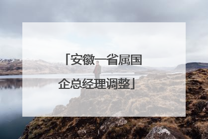 安徽一省属国企总经理调整
