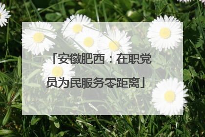 安徽肥西：在职党员为民服务零距离