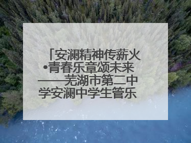 安澜精神传薪火•青春乐章颂未来——芜湖市第二中学安澜中学生管乐团第十二届公益展演圆满举行