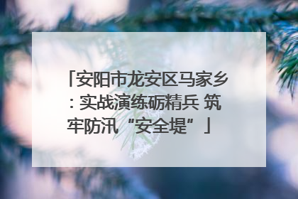 安阳市龙安区马家乡：实战演练砺精兵 筑牢防汛“安全堤”