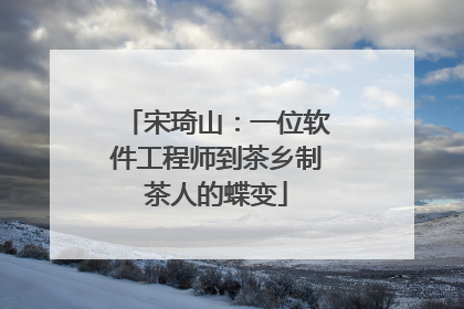 宋琦山：一位软件工程师到茶乡制茶人的蝶变
