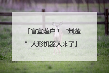 官宣落户！“荆楚”人形机器人来了