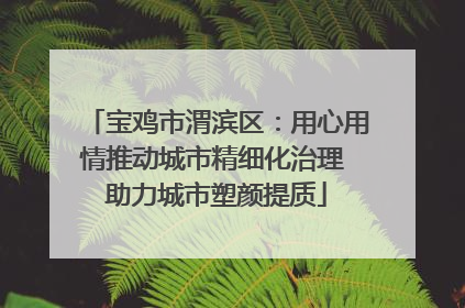 宝鸡市渭滨区：用心用情推动城市精细化治理 助力城市塑颜提质