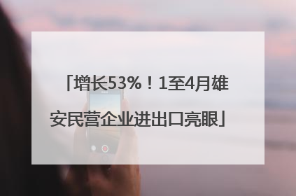 增长53%！1至4月雄安民营企业进出口亮眼