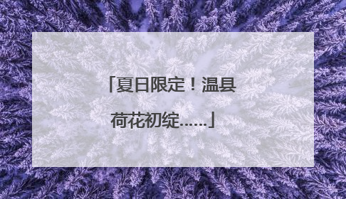 夏日限定！温县荷花初绽……
