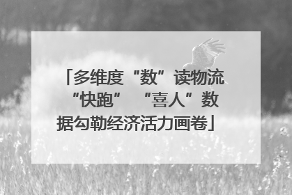 多维度“数”读物流“快跑” “喜人”数据勾勒经济活力画卷