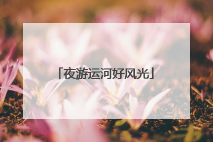 夜游运河好风光