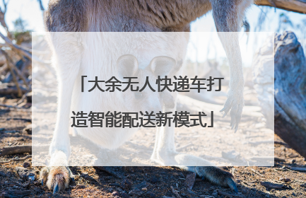 大余无人快递车打造智能配送新模式