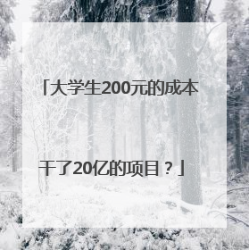 大学生200元的成本干了20亿的项目？