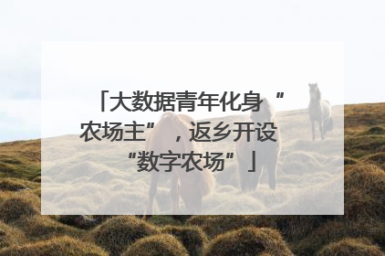 大数据青年化身“农场主”，返乡开设“数字农场”
