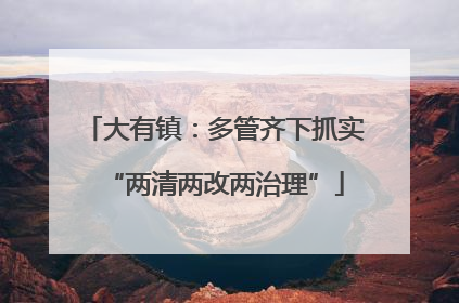 大有镇：多管齐下抓实“两清两改两治理”