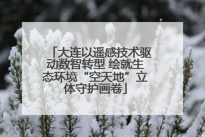大连以遥感技术驱动数智转型 绘就生态环境“空天地”立体守护画卷