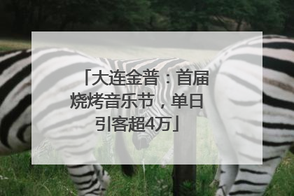 大连金普：首届烧烤音乐节，单日引客超4万