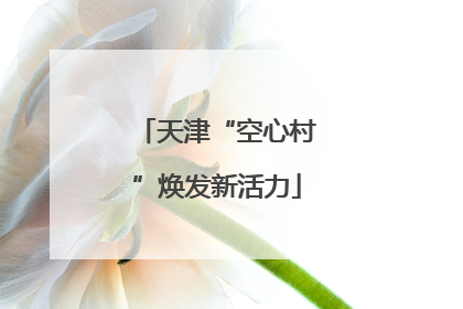 天津“空心村”焕发新活力