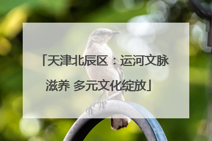 天津北辰区：运河文脉滋养 多元文化绽放