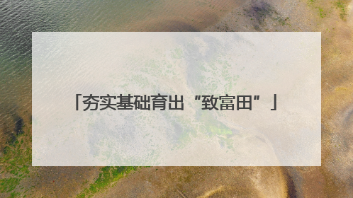 夯实基础育出“致富田”