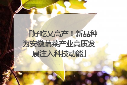 好吃又高产！新品种为安徽蔬菜产业高质发展注入科技动能