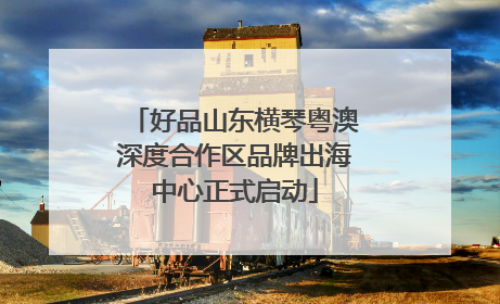 好品山东横琴粤澳深度合作区品牌出海中心正式启动