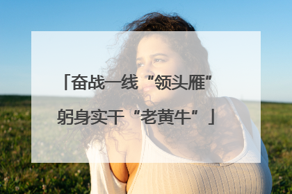 奋战一线“领头雁” 躬身实干“老黄牛”