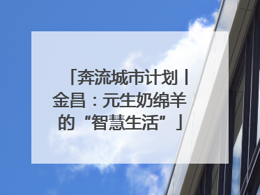 奔流城市计划丨金昌：元生奶绵羊的“智慧生活”