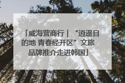威海营商行｜“逍遥目的地 青春经开区”文旅品牌推介走进韩国