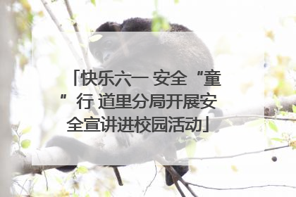 快乐六一 安全“童”行 道里分局开展安全宣讲进校园活动
