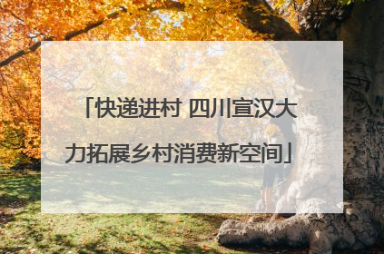 快递进村 四川宣汉大力拓展乡村消费新空间