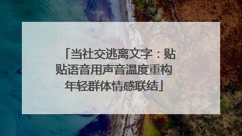 当社交逃离文字：贴贴语音用声音温度重构年轻群体情感联结