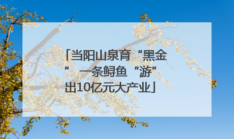 当阳山泉育“黑金” 一条鲟鱼“游”出10亿元大产业