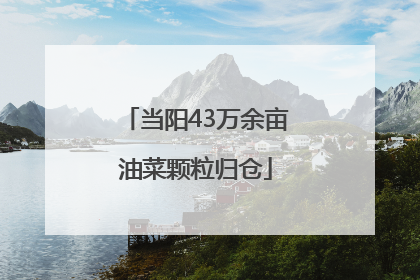 当阳43万余亩油菜颗粒归仓