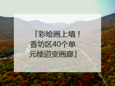 彩绘画上墙！香坊区40个单元楼道变画廊