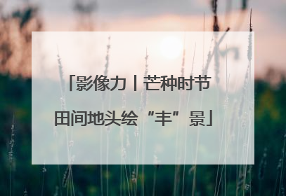 影像力丨芒种时节 田间地头绘“丰”景