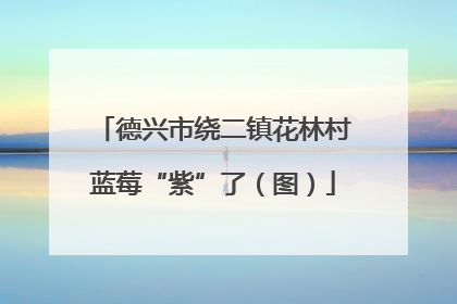 德兴市绕二镇花林村蓝莓“紫”了（图）