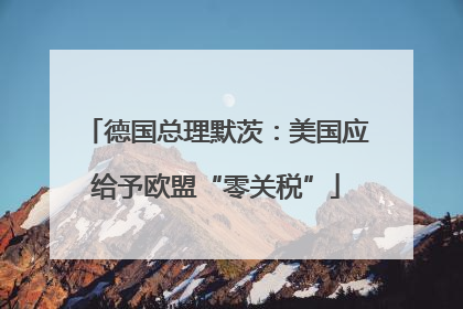 德国总理默茨：美国应给予欧盟“零关税”