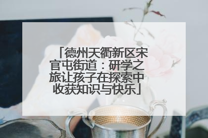 德州天衢新区宋官屯街道：研学之旅让孩子在探索中收获知识与快乐