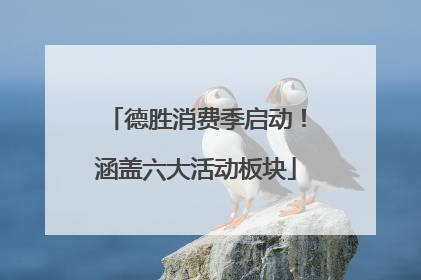 德胜消费季启动！涵盖六大活动板块
