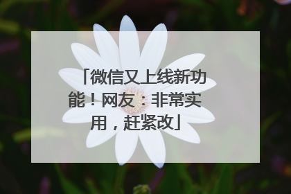 微信又上线新功能！网友：非常实用，赶紧改